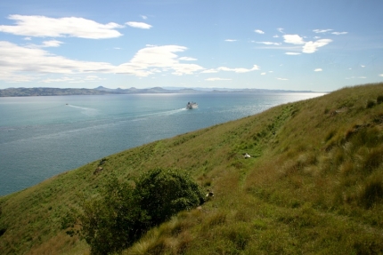 catlins (48)